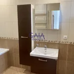 Rent 4 bedroom apartment in Hodonín