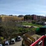 Rent 1 bedroom apartment of 55 m² in Roma