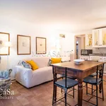 Rent 3 bedroom apartment of 65 m² in Pisa