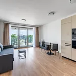 Rent 1 bedroom apartment of 42 m² in Prague