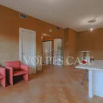 Rent 3 bedroom apartment of 127 m² in Rome