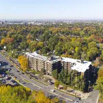  appartement avec 1 chambre(s) en location à Montreal