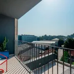 Rent 1 bedroom apartment in Porto