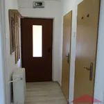 Rent 3 bedroom apartment in Velhartice