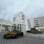 Rent 2 bedroom apartment in Namur