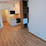 Rent 1 bedroom apartment of 47 m² in České Budějovice