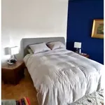 Rent 4 bedroom apartment in Basel