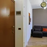 Rent 1 bedroom apartment in milan