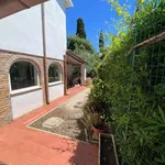 Rent 4 bedroom house of 100 m² in Roma