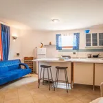 Rent 1 bedroom apartment of 55 m² in rome