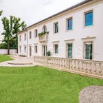 Rent 2 bedroom apartment of 68 m² in Mogliano Veneto