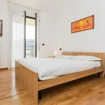 Rent 1 bedroom apartment in Milan