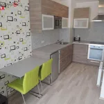 Rent 1 bedroom apartment of 346 m² in Brno