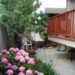 Rent 1 bedroom apartment in San Bruno