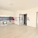 Rent 2 bedroom apartment of 90 m² in České Budějovice