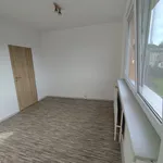 Rent 3 bedroom apartment in Děčín