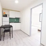 Rent 1 bedroom apartment in Brno