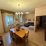 Rent 3 bedroom apartment of 110 m² in Faenza