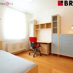 Rent 2 bedroom apartment in Brno