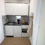 Miete 1 Schlafzimmer wohnung von 30 m² in Wiesbaden