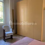 Rent 2 bedroom apartment of 60 m² in Bologna