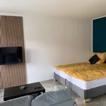 Rent 1 bedroom apartment of 35 m² in Dortmund