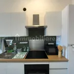 Rent 2 bedroom apartment of 65 m² in Turin