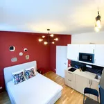 Rent 1 bedroom apartment in Praha 2