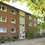 Rent 3 bedroom apartment of 51 m² in Gronau