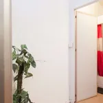 Louez une chambre de 50 m² à brussels