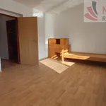 Rent 1 bedroom house of 835 m² in Pardubice