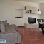 Rent 2 bedroom apartment of 65 m² in Nasca