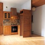 Rent 2 bedroom apartment of 56 m² in Grenoble