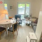 Rent 1 bedroom apartment of 36 m² in Brno