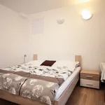 Pronajměte si 1 ložnic/e byt o rozloze 40 m² v Prague