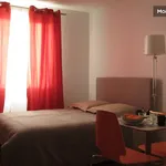 Rent 1 bedroom apartment of 24 m² in Toulouse