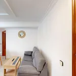 Rent 4 bedroom apartment in Jerez de la Frontera