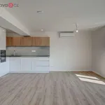 Rent 3 bedroom apartment of 118 m² in Trhový Štěpánov