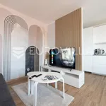 Rent 2 bedroom apartment of 61 m² in Zagreb