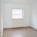 Rent 2 bedroom apartment in WAREGEM