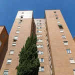 Alquilar 4 dormitorio apartamento en madrid