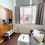 Rent 1 bedroom apartment of 32 m² in Zlín