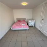 Rent 2 bedroom house in Charleroi