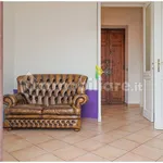 Rent 2 bedroom apartment of 65 m² in Turin