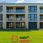 Rent 3 bedroom apartment of 78 m² in Trhový Štěpánov