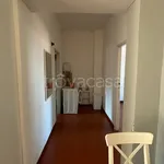 Rent 2 bedroom apartment of 55 m² in Milano