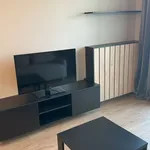 Rent 2 bedroom apartment of 39 m² in Poznan