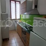 Rent 3 bedroom apartment of 56 m² in Siena