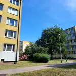 Rent 1 bedroom apartment of 29 m² in Grudziądz