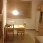 Rent 4 bedroom apartment of 110 m² in Warsaw